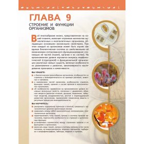 Пасечник. Биология 10 класс. Учебное пособие. Углублённый уровень. Часть № 2 Пасечник. Биология 10 класс. Учебное пособие. Углублённый уровень. Часть № 2