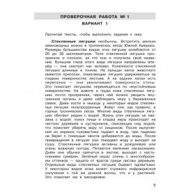 Литературное чтение 4 класс. ВПР. Подготовка к Всероссийской проверочной работе. Мишакина